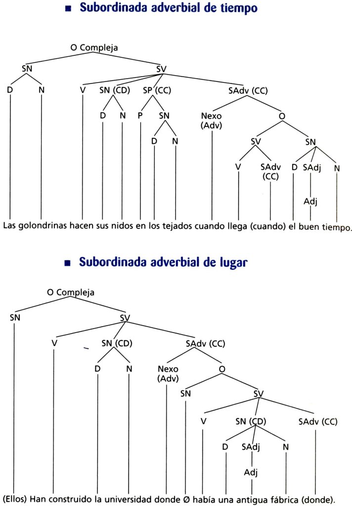 BAUMDIAGRAMM Diagrama arbóreo